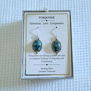 Shivam Oval Shaped Turquoise With Gold💛 Veins Earrings